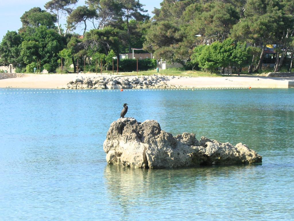 Apartment Maja Krk Town Εξωτερικό φωτογραφία